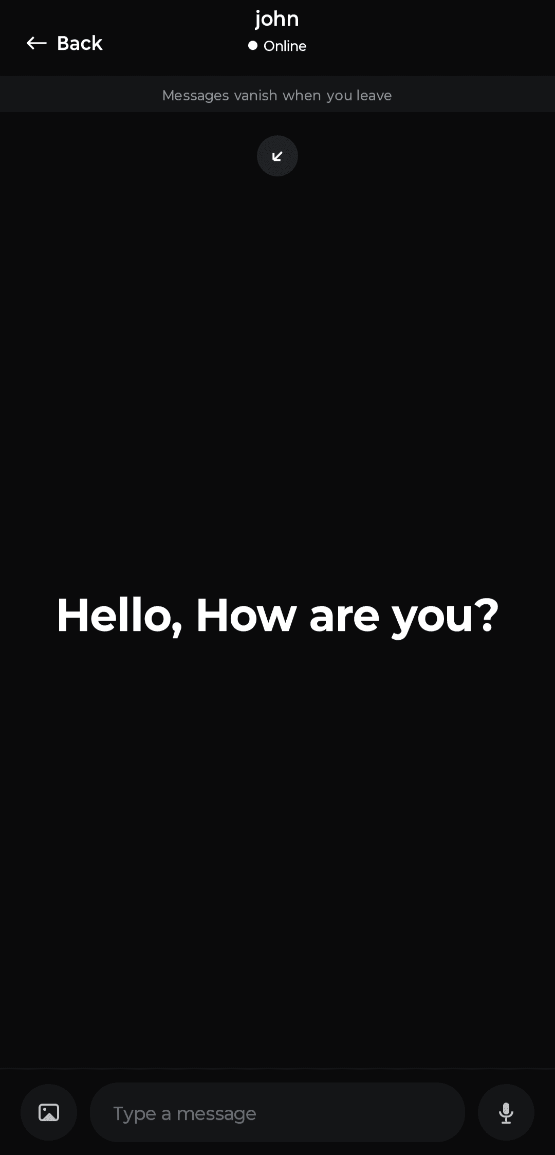 Chat screen showing only the last message